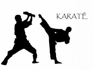 Karate 1